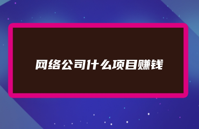 网络公司什么项目赚钱