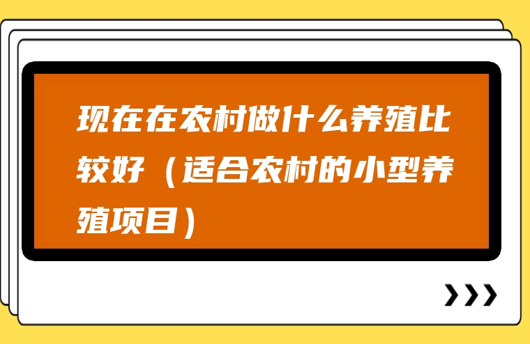 图片[1]-现在在农村做什么养殖比较好（适合农村的小型养殖项目）-赚在家创业号
