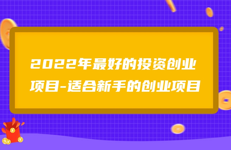 2022年最好的投资创业项目-适合新手的创业项目