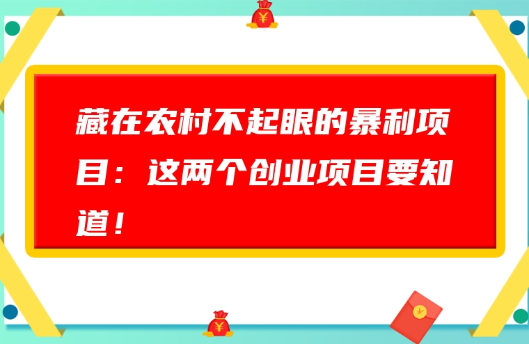 藏在农村不起眼的暴利项目：这两个创业项目要知道！