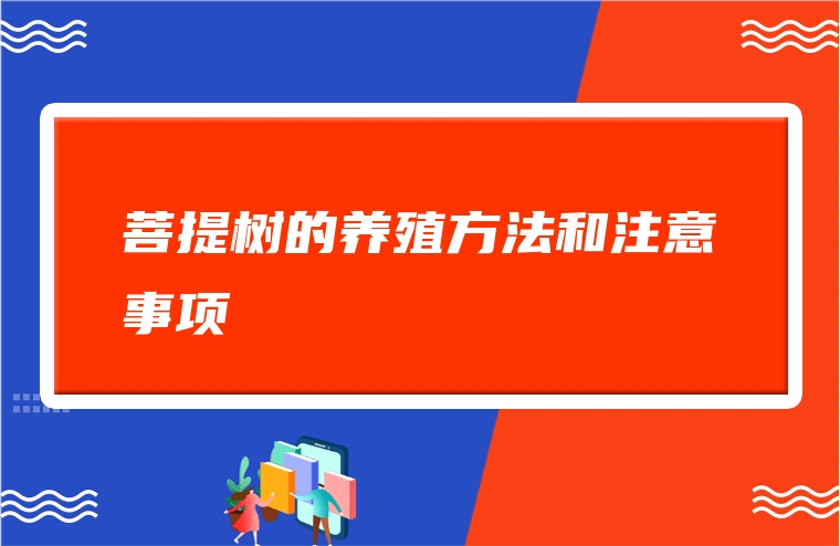 菩提树的养殖方法和注意事项