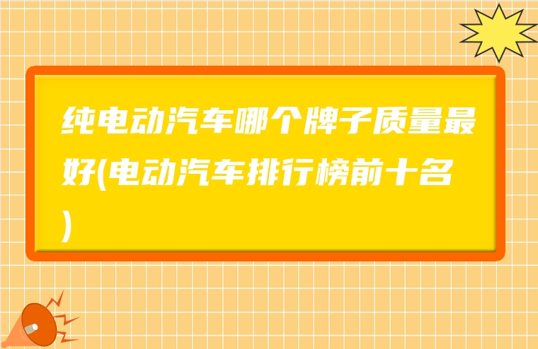 纯电动汽车哪个牌子质量最好(电动汽车排行榜前十名)