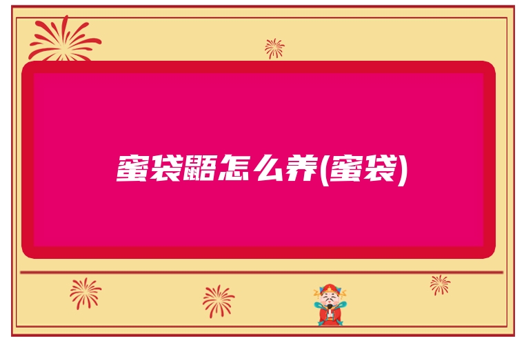 蜜袋鼯怎么养(蜜袋)