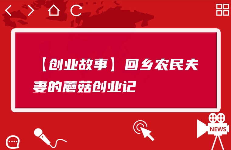 【创业故事】回乡农民夫妻的蘑菇创业记