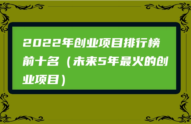 2022年创业项目排行榜前十名（未来5年最火的创业项目）