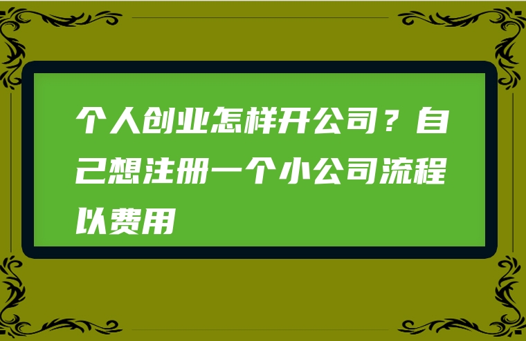 个人创业怎样开公司？自己想注册一个小公司流程以费用