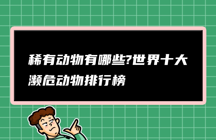 稀有动物有哪些?世界十大濒危动物排行榜