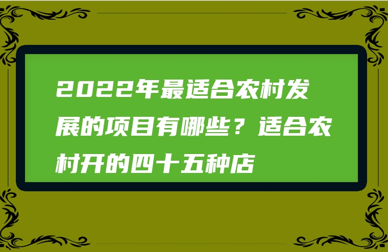 2022年最适合农村发展的项目有哪些？适合农村开的四十五种店