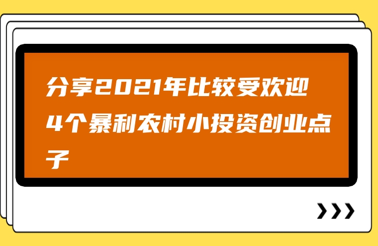 分享2021年比较受欢迎4个暴利农村小投资创业点子