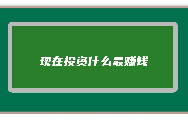 现在投资什么最赚钱