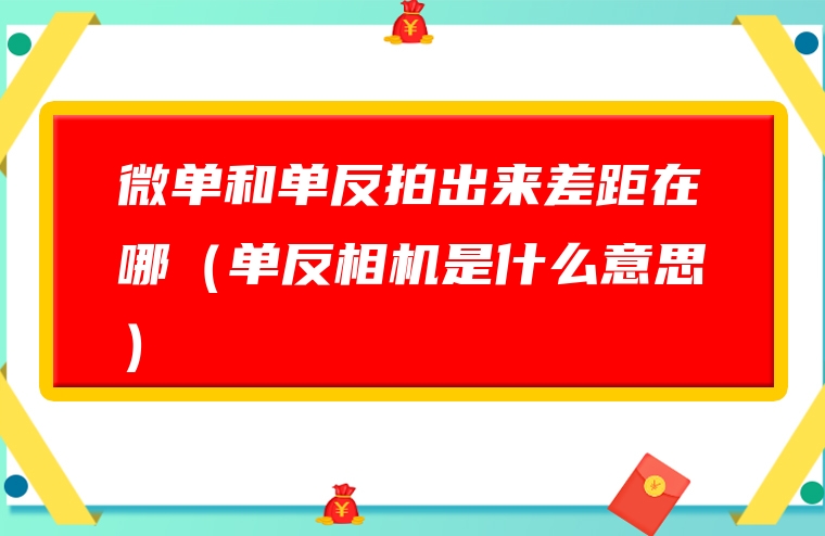 微单和单反拍出来差距在哪（单反相机是什么意思）