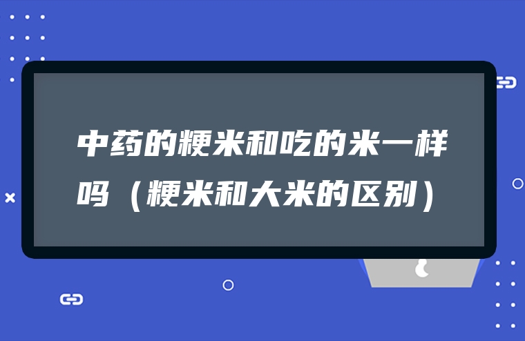 中药的粳米和吃的米一样吗（粳米和大米的区别）