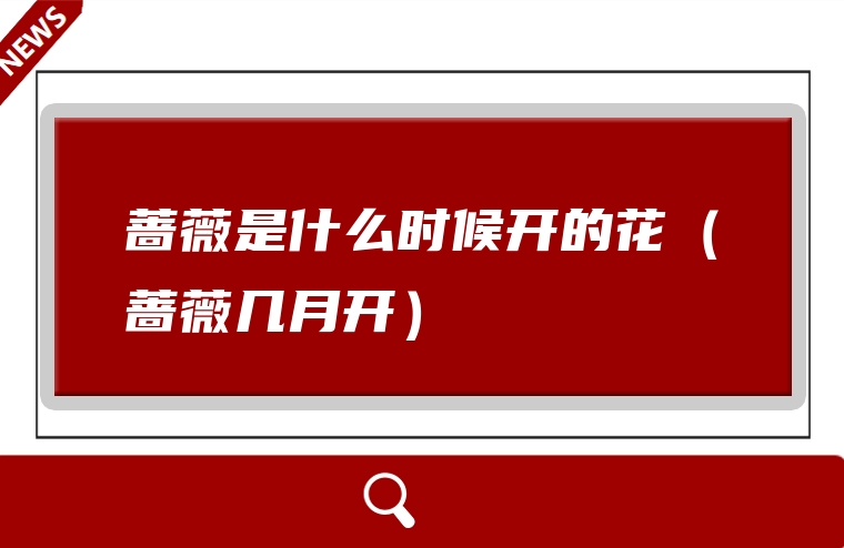 蔷薇是什么时候开的花（蔷薇几月开）