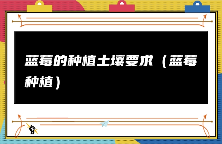 蓝莓的种植土壤要求（蓝莓种植）