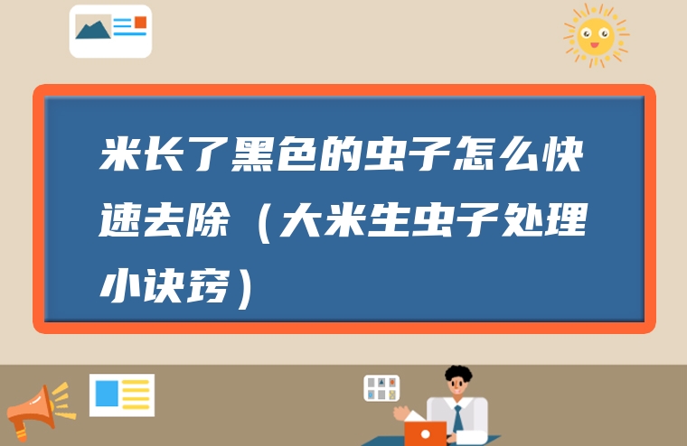 米长了黑色的虫子怎么快速去除（大米生虫子处理小诀窍）