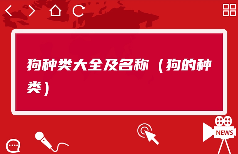 狗种类大全及名称（狗的种类）