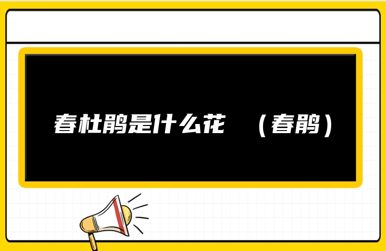 春杜鹃是什么花 （春鹃）