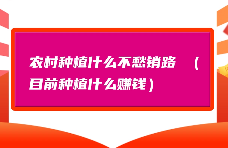 农村种植什么不愁销路 （目前种植什么赚钱）