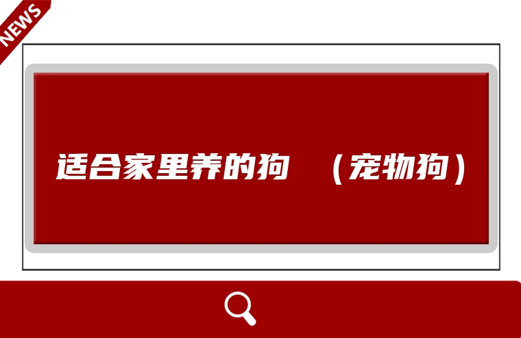 适合家里养的狗 （宠物狗）