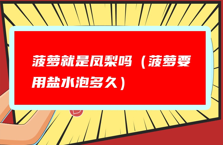 菠萝就是凤梨吗（菠萝要用盐水泡多久）