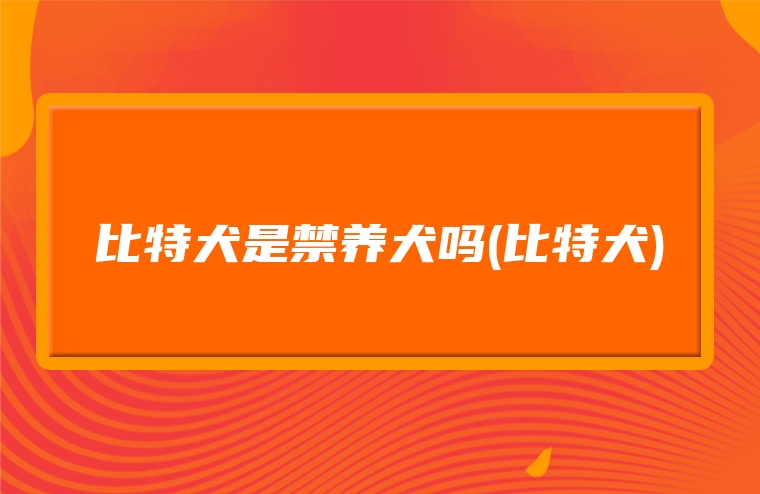 比特犬是禁养犬吗(比特犬)