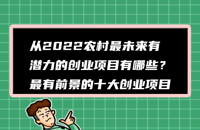 从2022农村最未来有潜力的创业项目有哪些？最有前景的十大创业项目