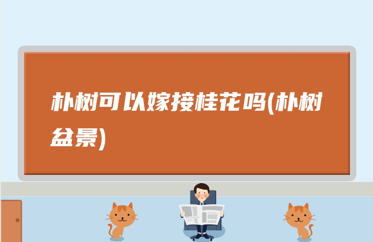 朴树可以嫁接桂花吗(朴树盆景)