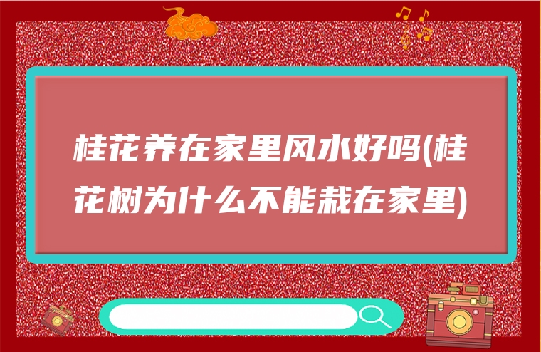 桂花养在家里风水好吗(桂花树为什么不能栽在家里)