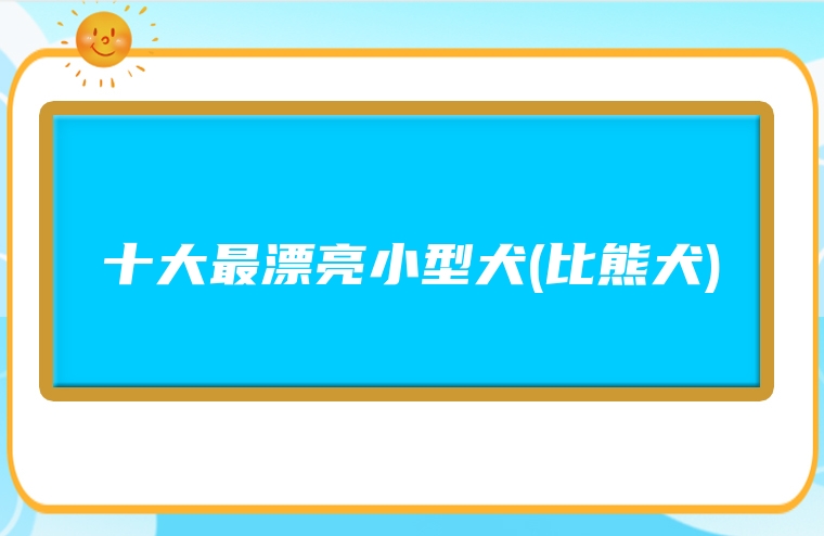 十大最漂亮小型犬(比熊犬)