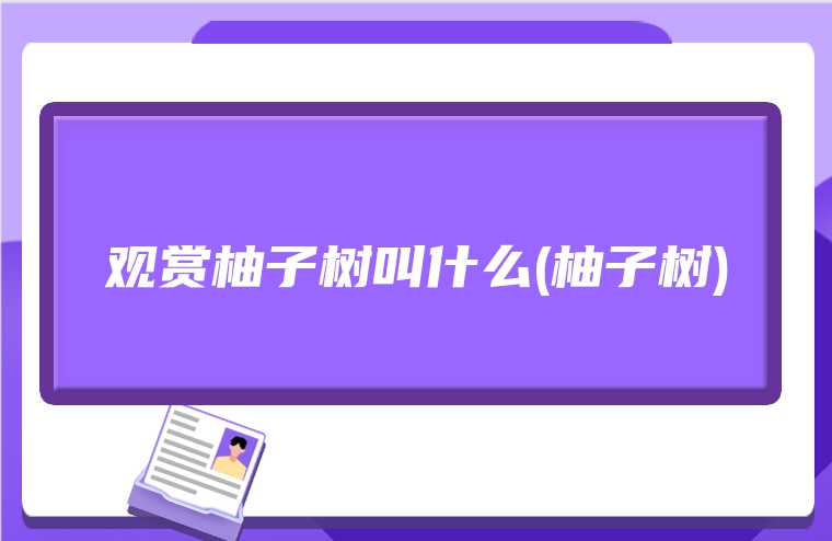 观赏柚子树叫什么(柚子树)