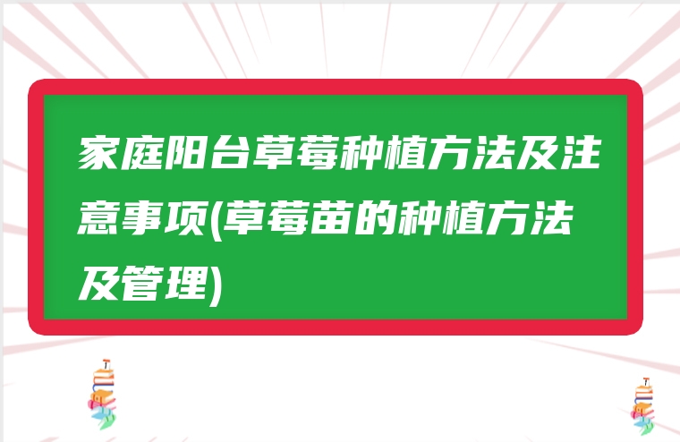 家庭阳台草莓种植方法及注意事项(草莓苗的种植方法及管理)