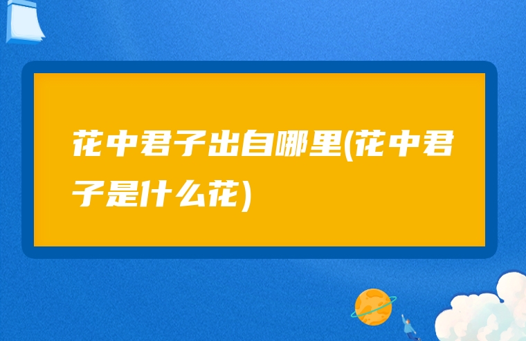 花中君子出自哪里(花中君子是什么花)