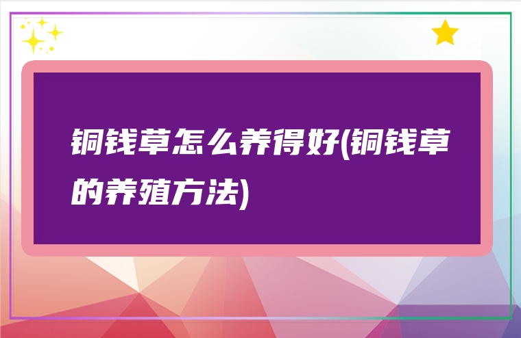 铜钱草怎么养得好(铜钱草的养殖方法)