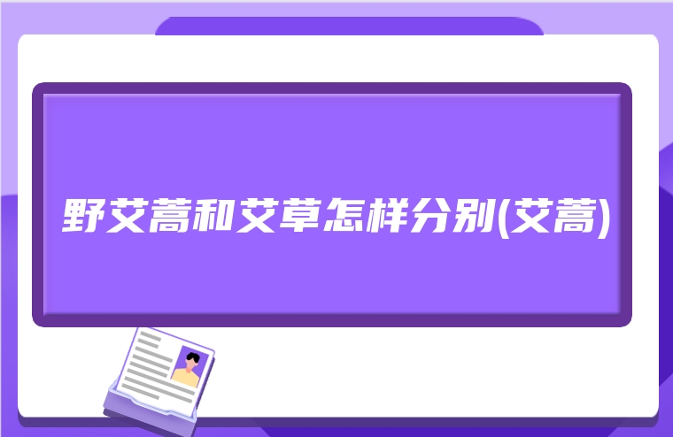 野艾蒿和艾草怎样分别(艾蒿)