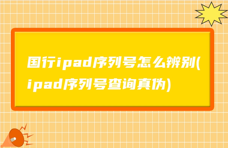 国行ipad序列号怎么辨别(ipad序列号查询真伪)
