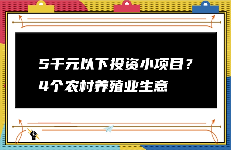 5千元以下投资小项目？4个农村养殖业生意