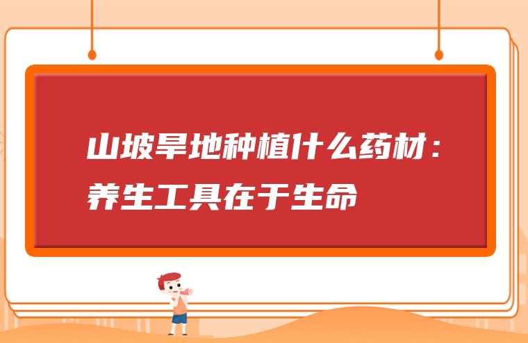山坡旱地种植什么药材：养生工具在于生命