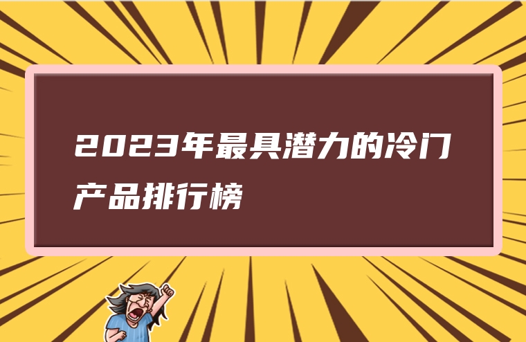2023年最具潜力的冷门产品排行榜