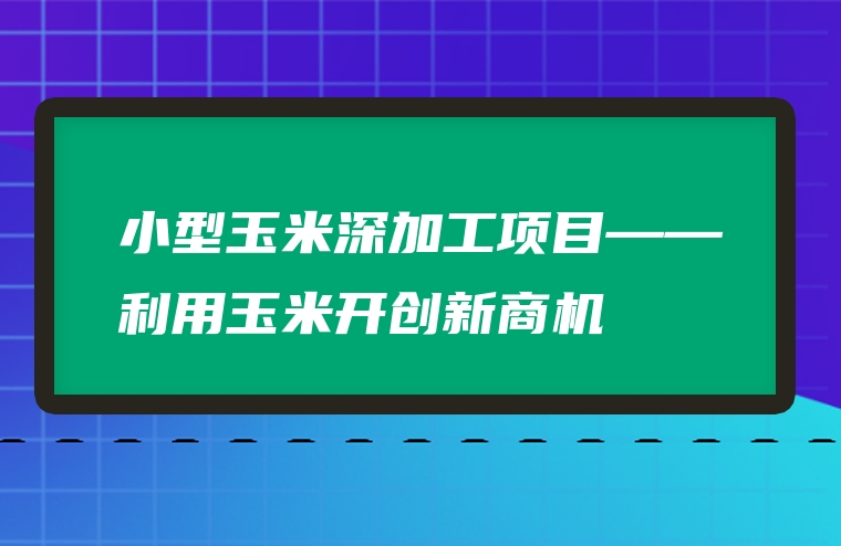 小型玉米深加工项目——利用玉米开创新商机