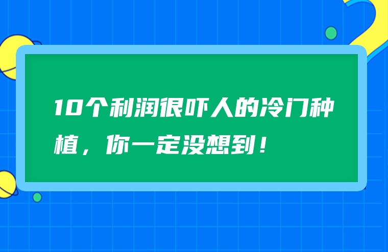 10个利润很吓人的冷门种植，你一定没想到！