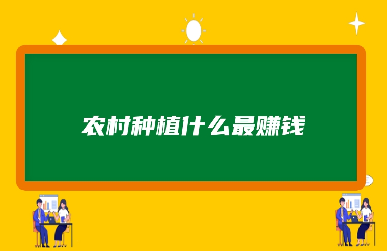 农村种植什么最赚钱