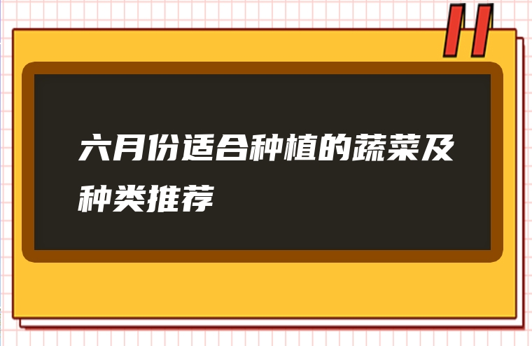 六月份适合种植的蔬菜及种类推荐