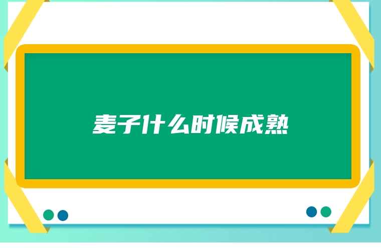 麦子什么时候成熟
