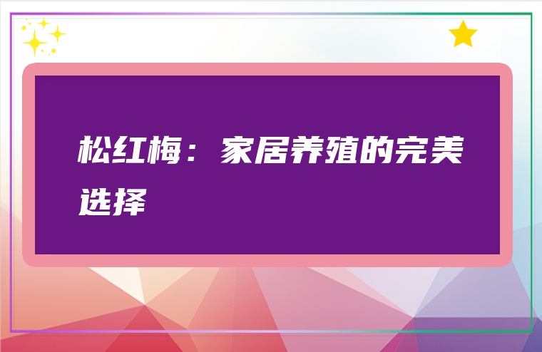松红梅：家居养殖的完美选择