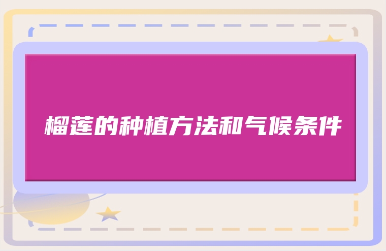 榴莲的种植方法和气候条件
