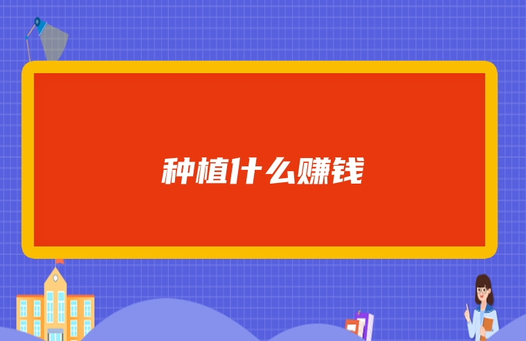 种植什么赚钱