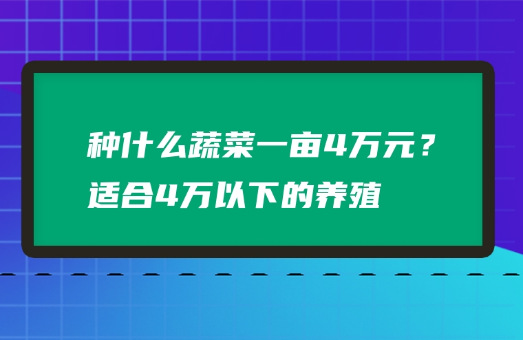 种什么蔬菜一亩4万元？适合4万以下的养殖