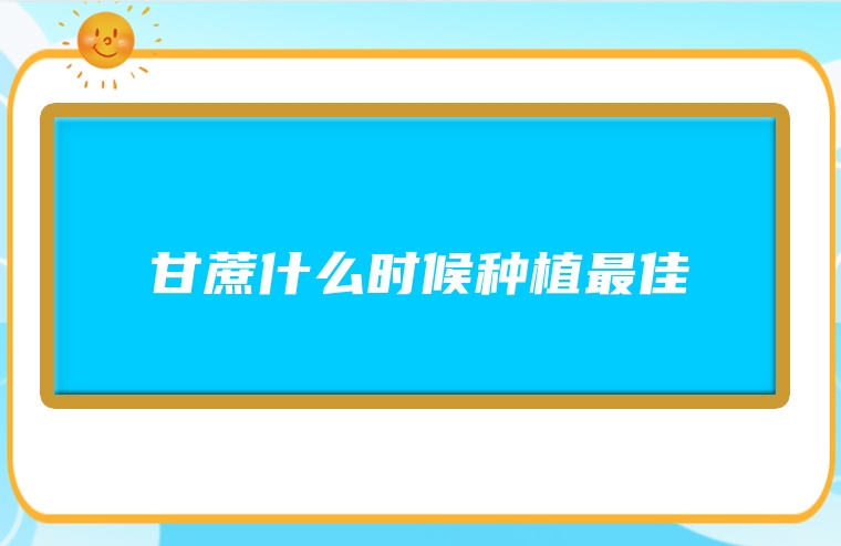 甘蔗什么时候种植最佳