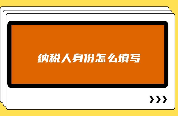 纳税人身份怎么填写