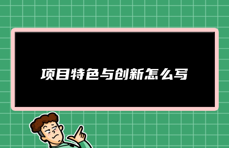 项目特色与创新怎么写